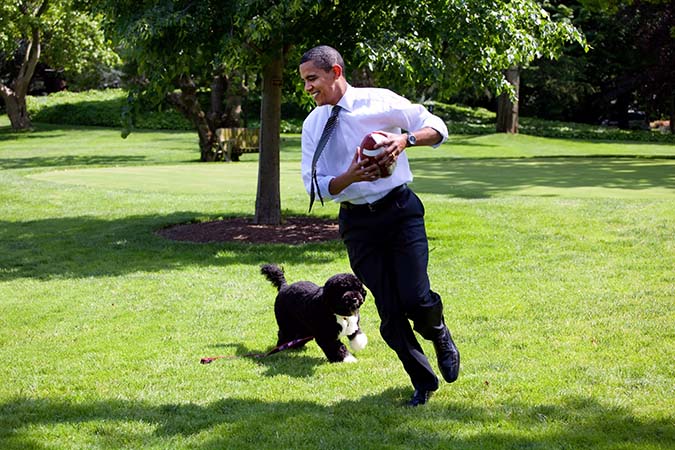 Obama à la maison blanche et son chien d'eau portugais